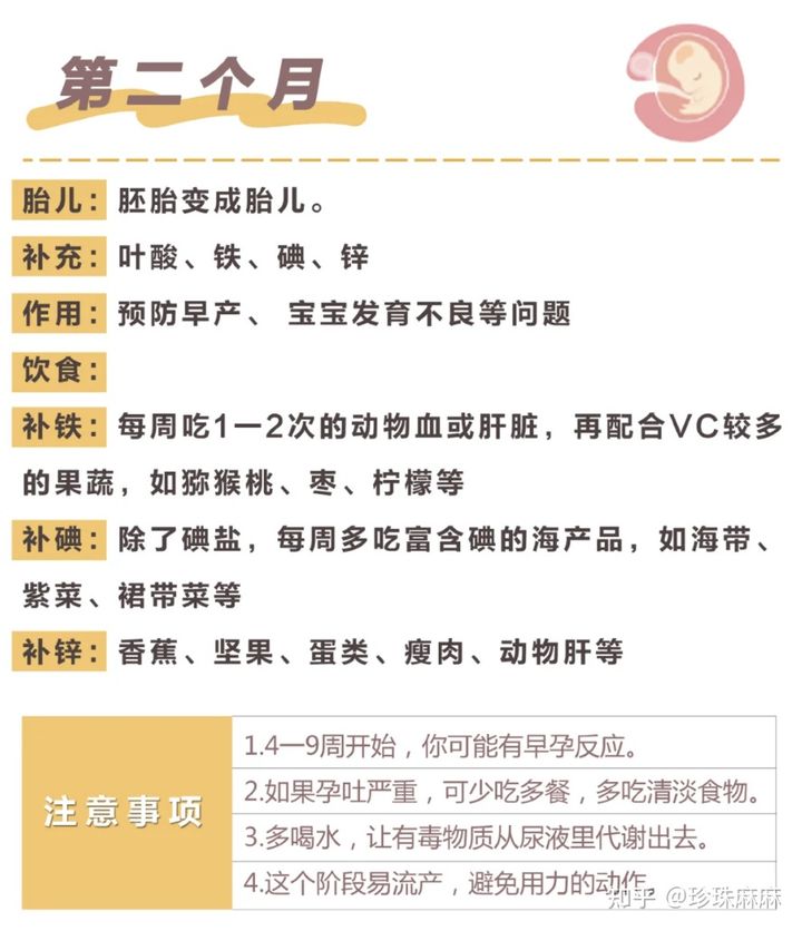 孕妇受孕过程,孕妇从怀孕到生的注意事项及时间