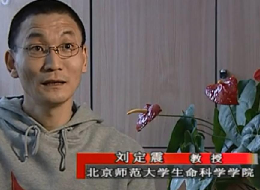 黑天鹅被盗事件,天鹅失踪事件