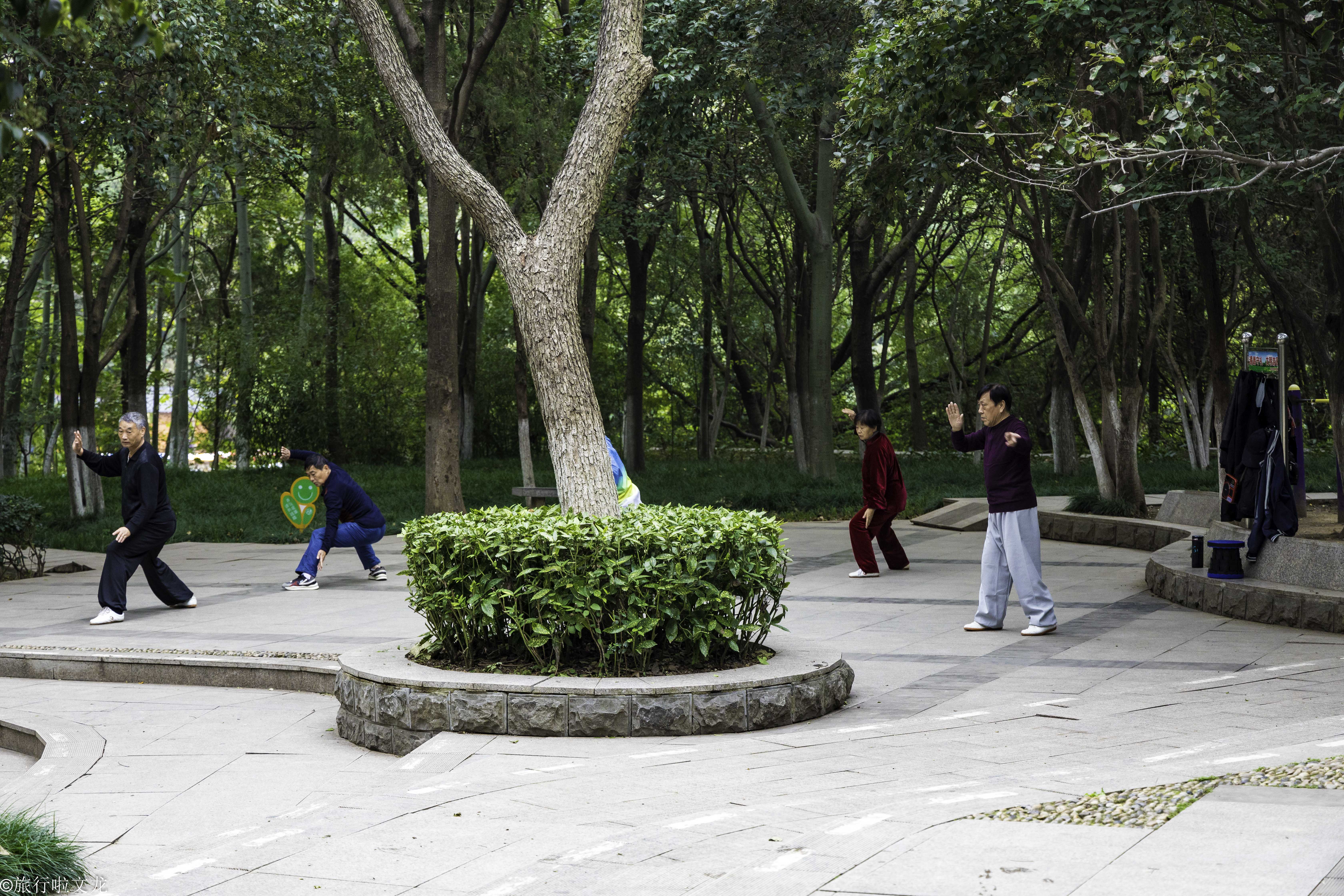 淮北相山公园好玩的项目,淮北相山公园里有什么好玩的