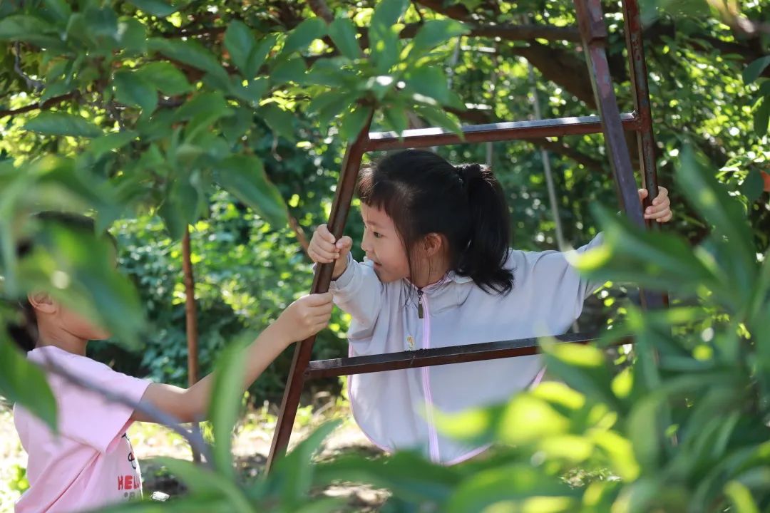 冬季天津户外徒步路线推荐,天津春天亲子徒步旅游路线推荐