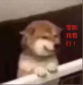 crv油电混合一箱油能跑多远,插电混动mpv一箱油能跑多少公里