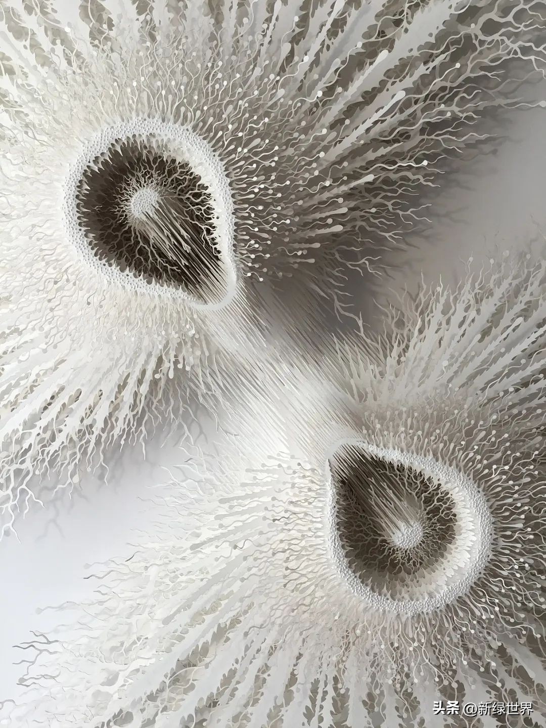 一组纸艺作品,令人惊艳的纸艺作品