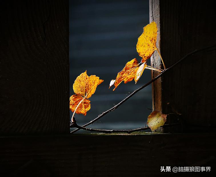 拍照如何确保对焦准确,拍照时对焦很难对上