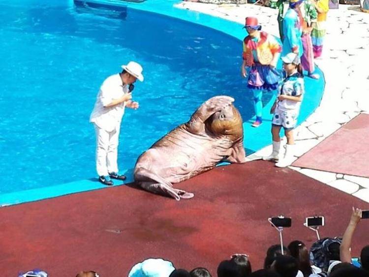 大连旅游攻略住宿推荐,大连旅游攻略三天游哪个岛好