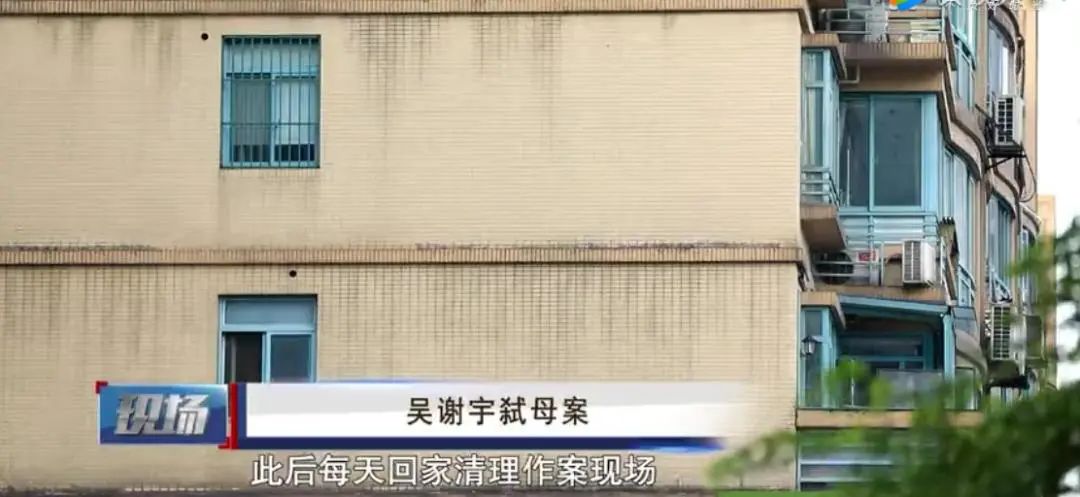 北大学霸杀母案最新结果,北大学霸杀母案枪毙吗