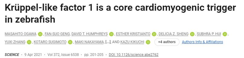 心肌修复与再生,修复心脏的最好方法