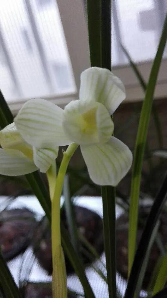 风景楹联作品,获奖楹联35幅欣赏