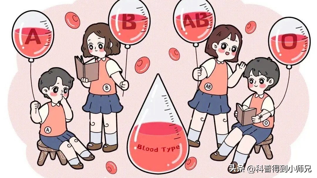 熊猫血恐龙血，人类有35种血型系统！除了ABO，你还知道哪一种？