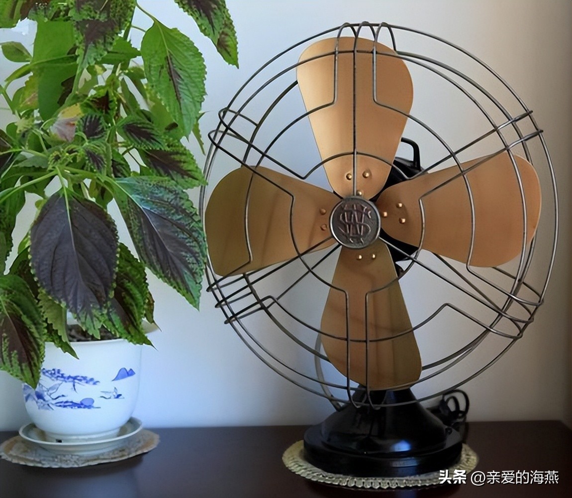 80年代中国十三大名酒,70年代十大名牌