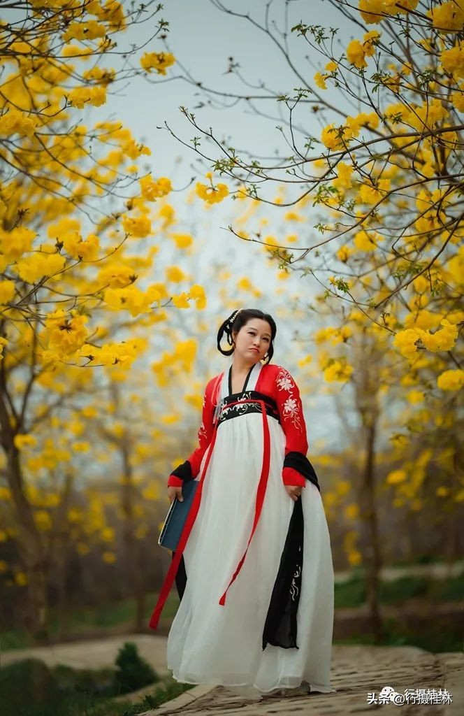 花仙子风铃,风铃花仙子