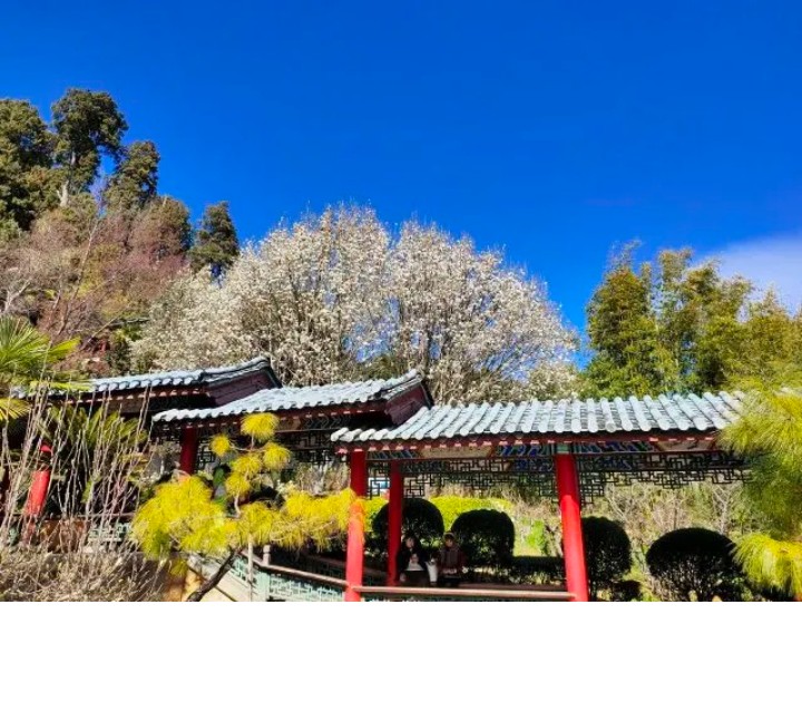 丽江风情之旅6天5夜,4天3晚丽江之旅