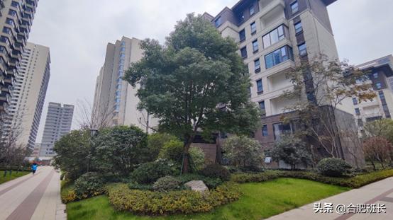 合肥滨湖招商雍华府附近规划,合肥省府中轴招商雍华府