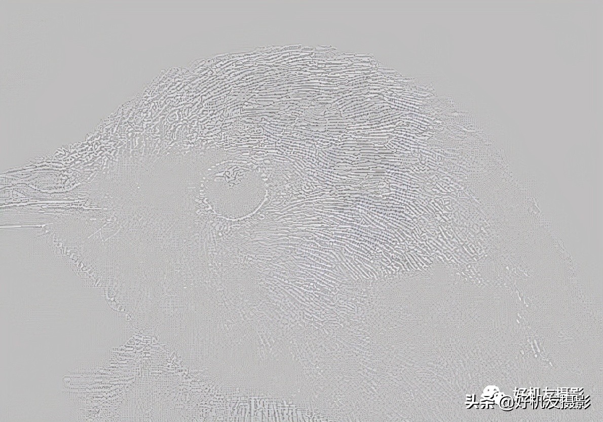 手机拍照片怎么拍出质感风景,拍的照片没有质感