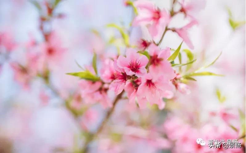 自己只管努力其他一切顺其自然,你只管做自己一切都是最好的安排