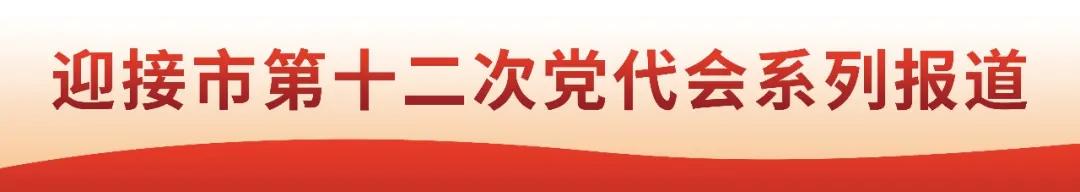 茂名高质量发展,茂名高质量发展举措