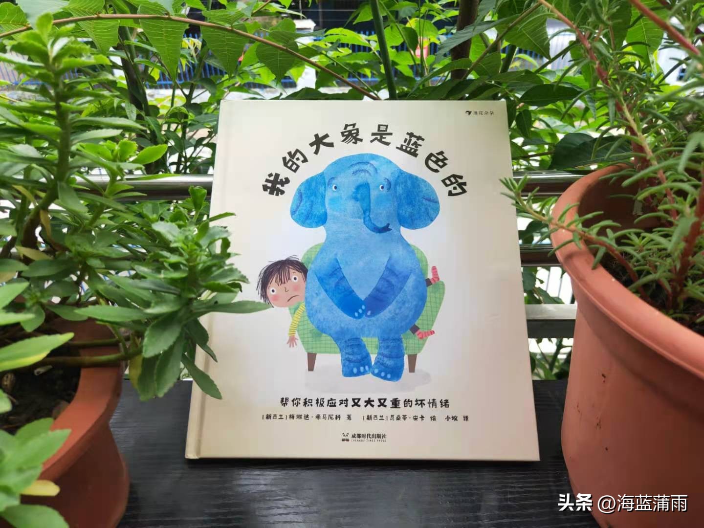 《我的大象是蓝色的》：坏情绪不可怕，掌握好方法让情绪转变