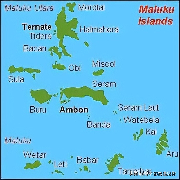 乌俄新战局,俄乌冲突下的荷兰