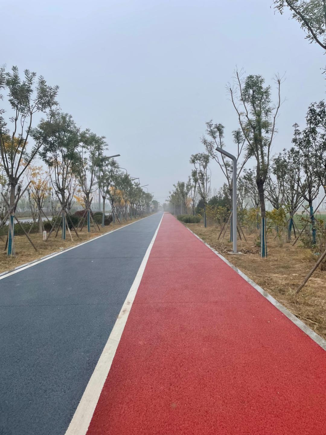 董董骑行山东,山东菏泽巨野县怎么样