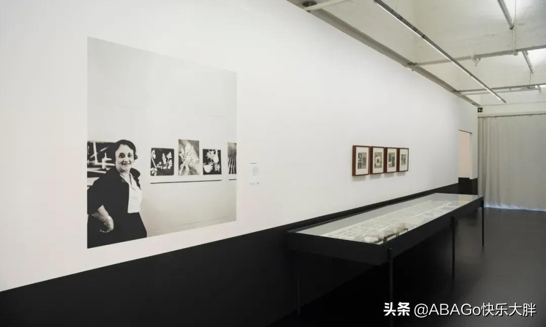 巴西的艺术家,巴西现代主义建筑师