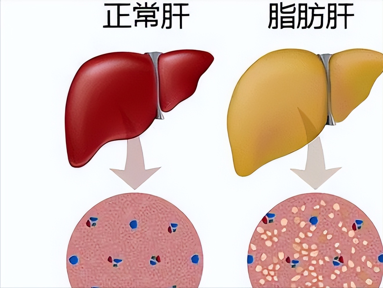 飞机上医生会诊,飞机上看病的专家