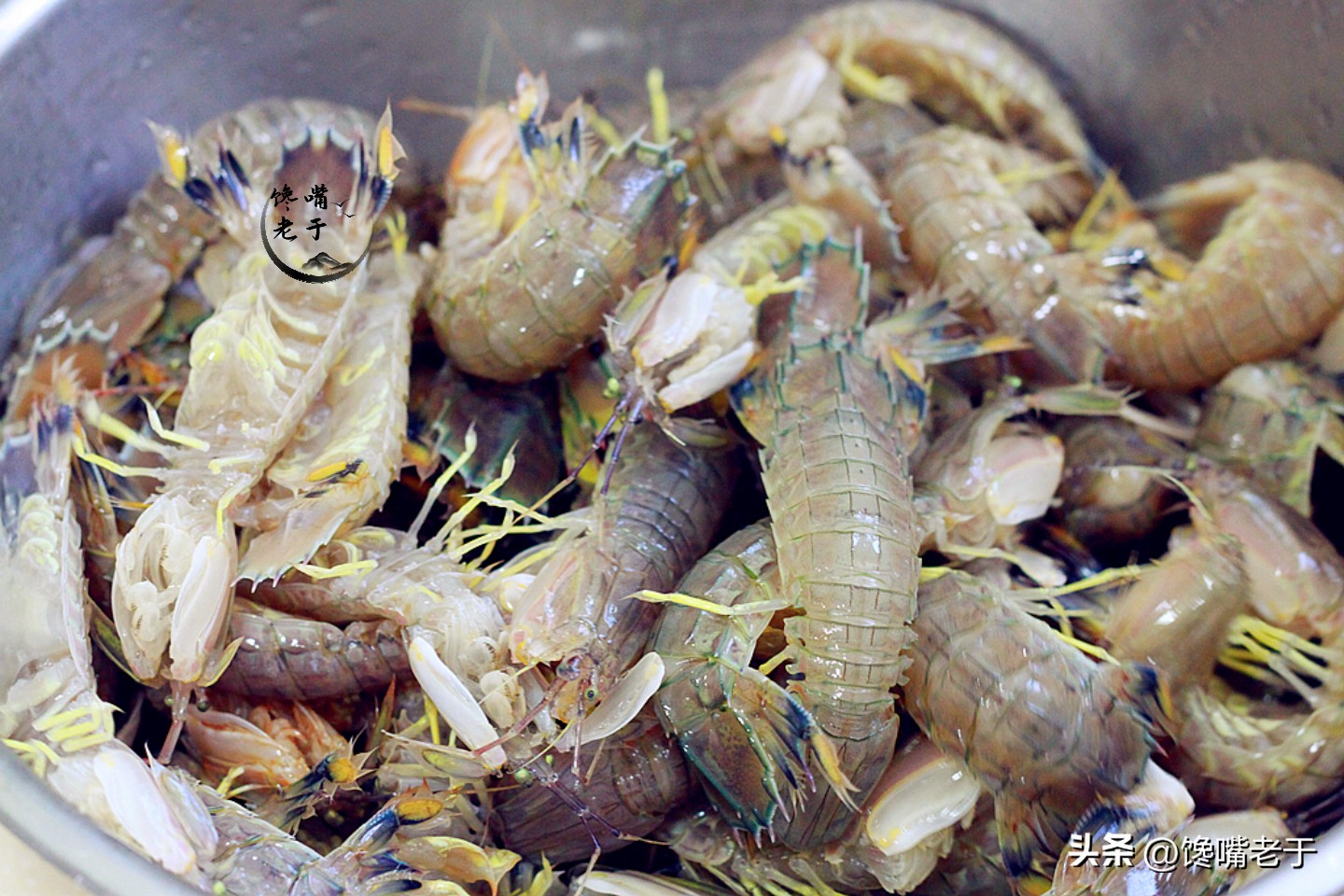 在市场上买皮皮虾怎么看才是新鲜,皮皮虾怎么吃老渔民悄悄告诉你