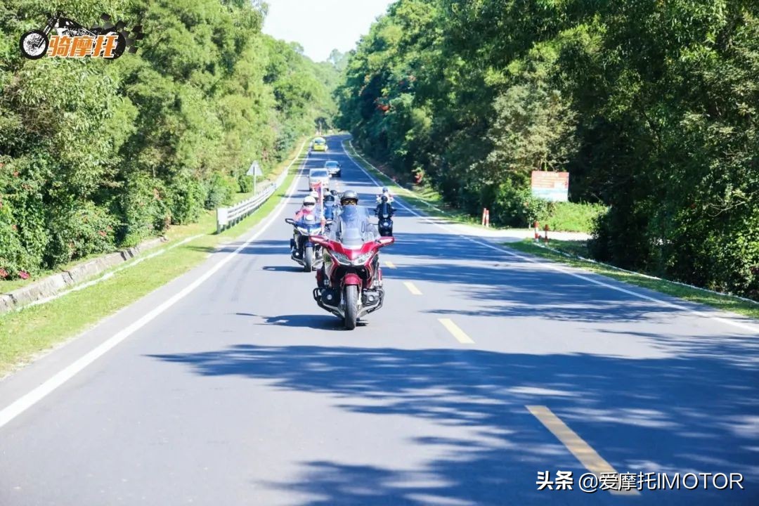 展览电动四轮车,展览骑行台