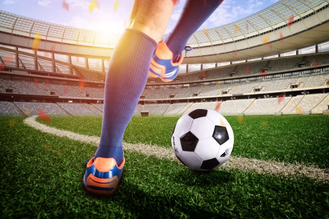 dna动了还可以怎么说,dna动了的视频