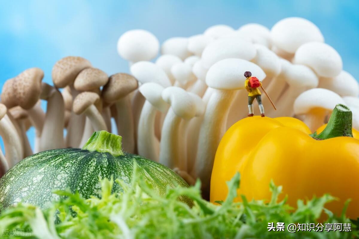 盘点南北方饮食差异的名场面,南北方饮食差异南方细腻北方粗犷