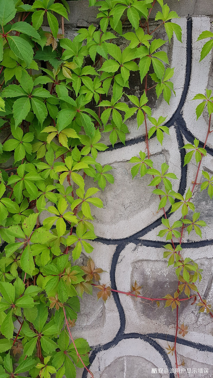 2016年三星note7至尊纪念版,三星note72016