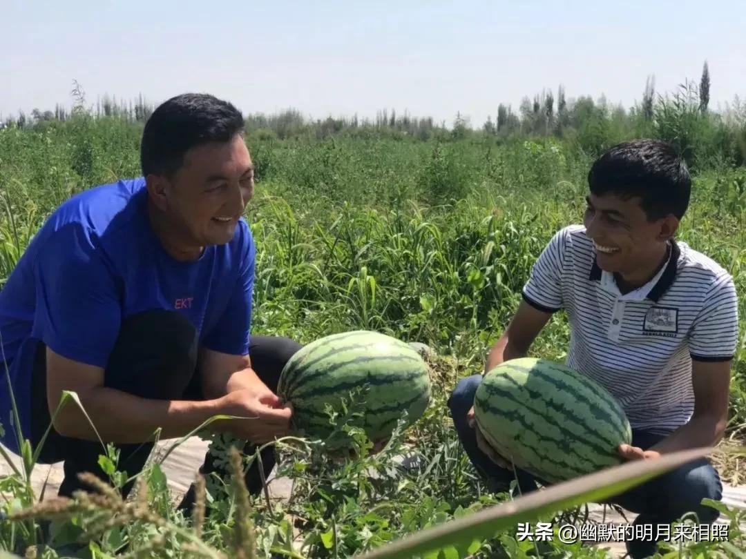 种西瓜去打工挣钱吗,90后回村创业种西瓜