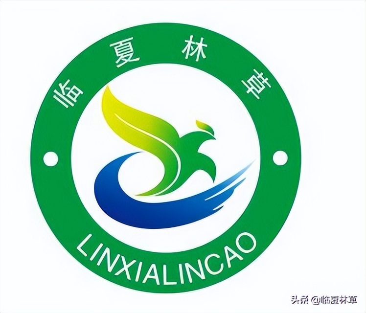 【临夏林草文化】科普篇‖康乃馨开本无意，奈何人间有真情