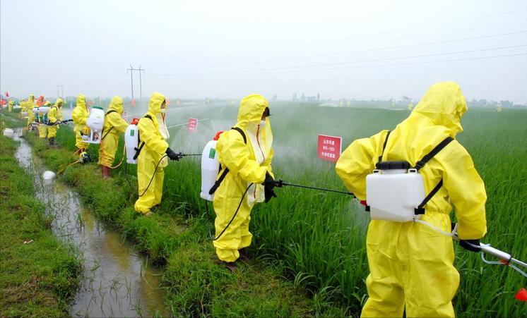 农业绿色植保技术,农业植保技术推广