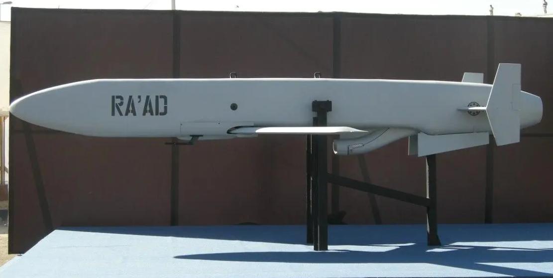 巴铁买歼10ce能打过阵风吗,巴基斯坦讨论歼10