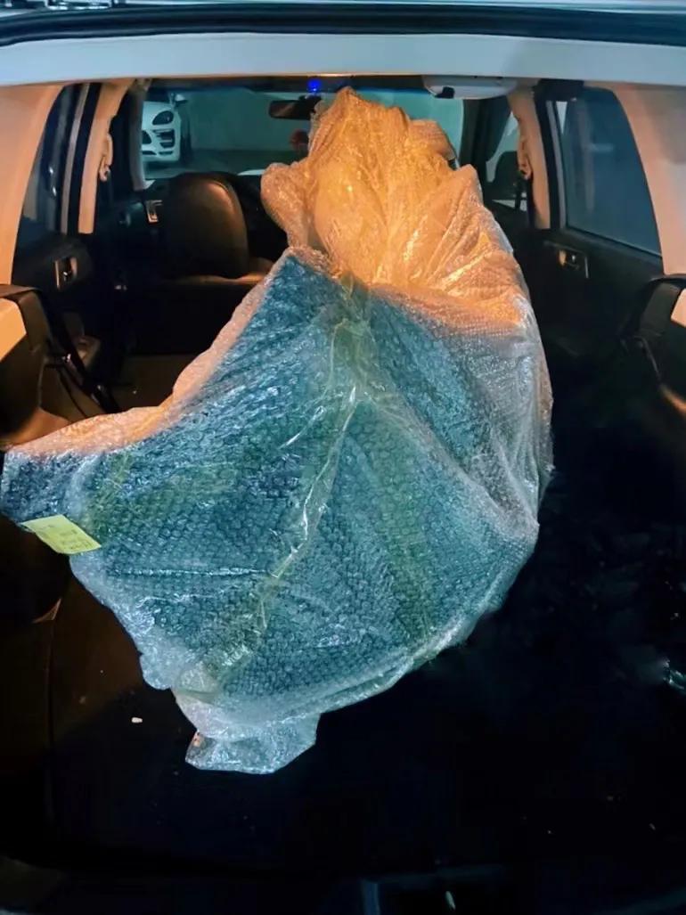 车龄08年的斯巴鲁森林人,斯巴鲁森林人10年车龄