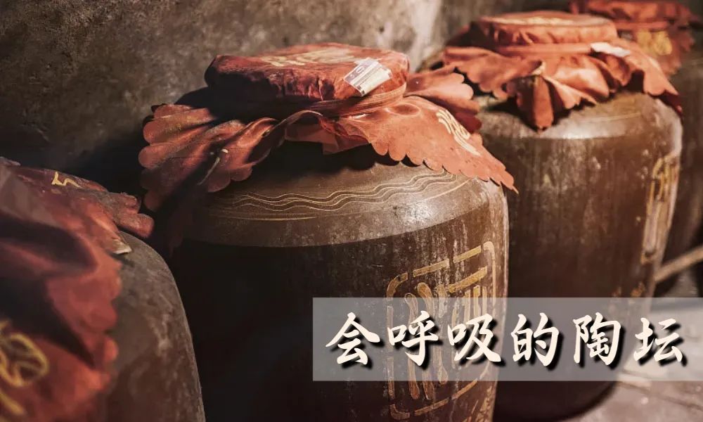 酱酒越陈越香怎么回事,酱酒为什么要放10多年才有陈香味