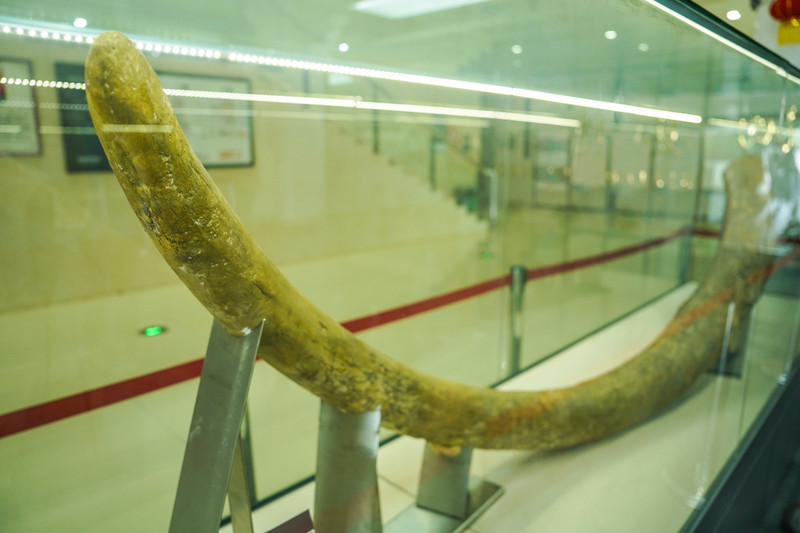 宿州景点哪里好玩一日游,宿州小众打卡