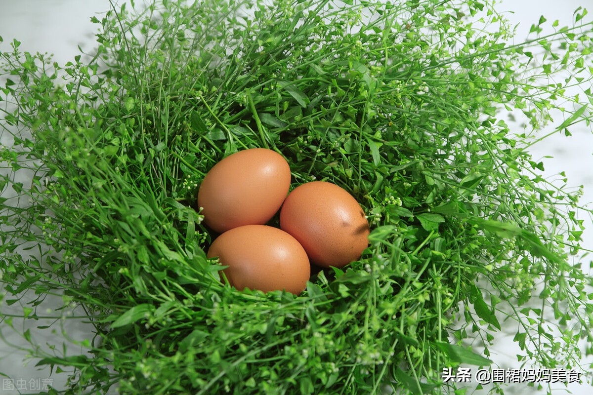 春天减脂第一菜,春季高钙高蛋白食谱