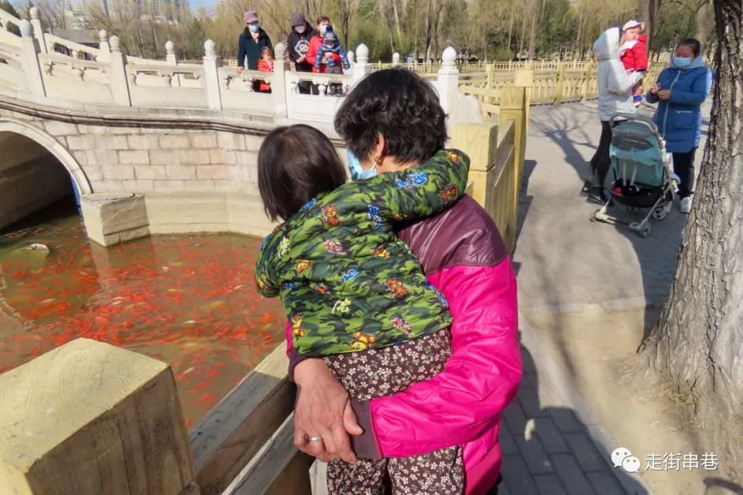 爷孙隔代亲的故事,爷孙隔代亲现象