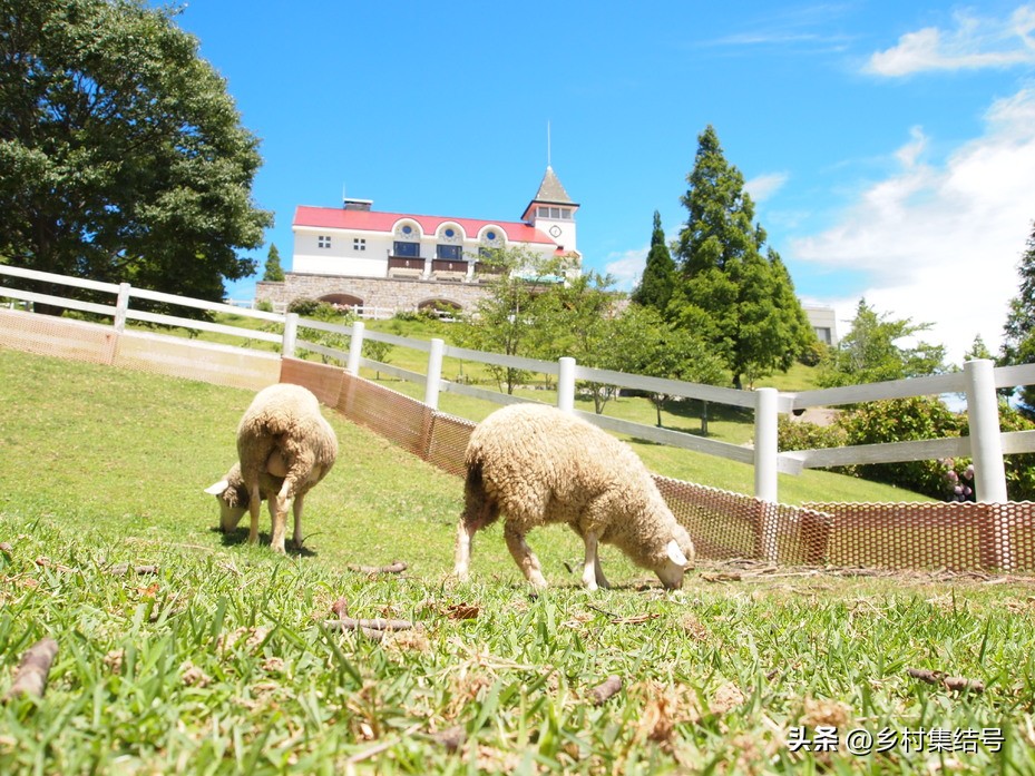关西六甲山牧场在哪里,六甲山牧场门票多少钱