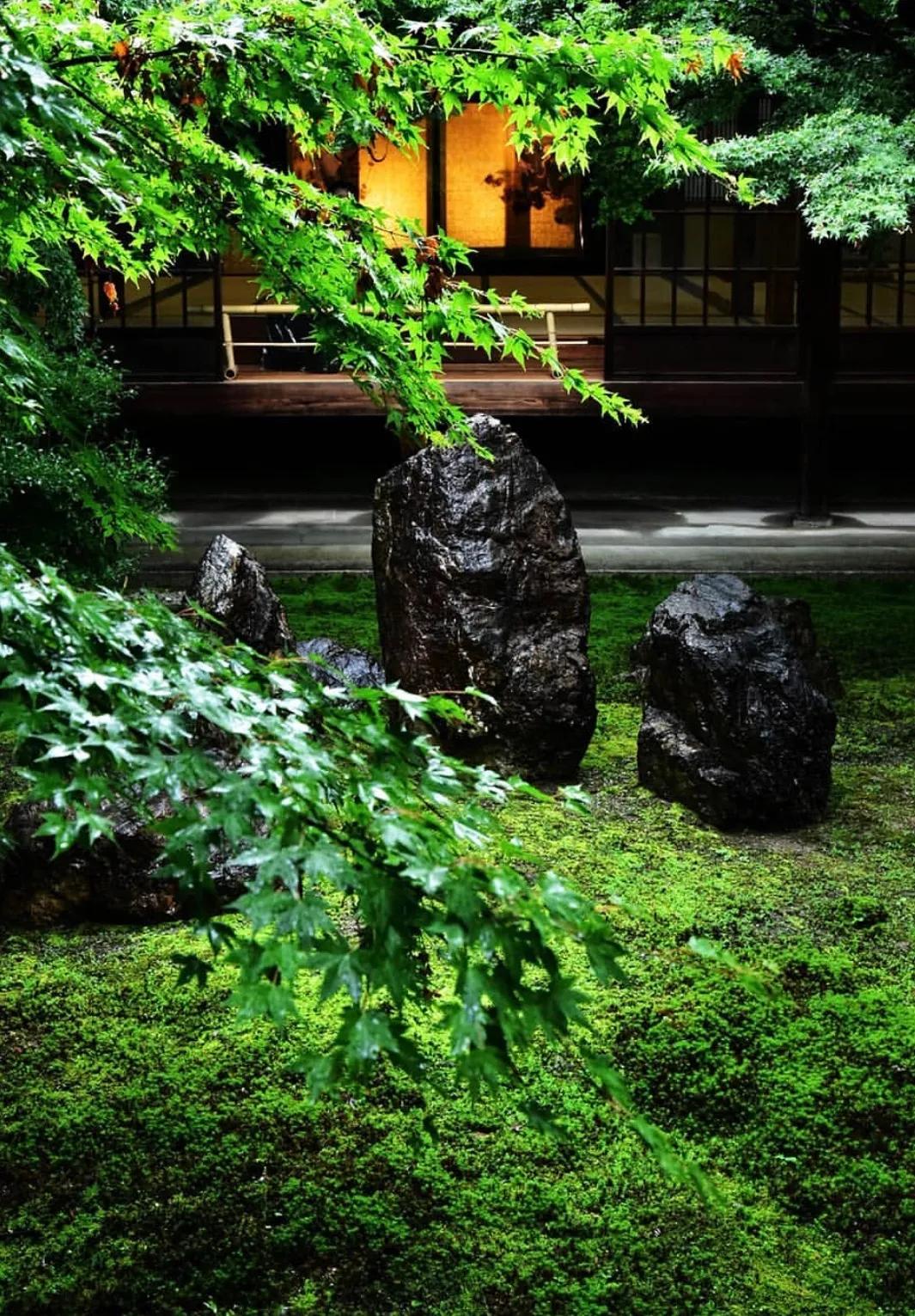 一个院子，一家民宿，闲度余生