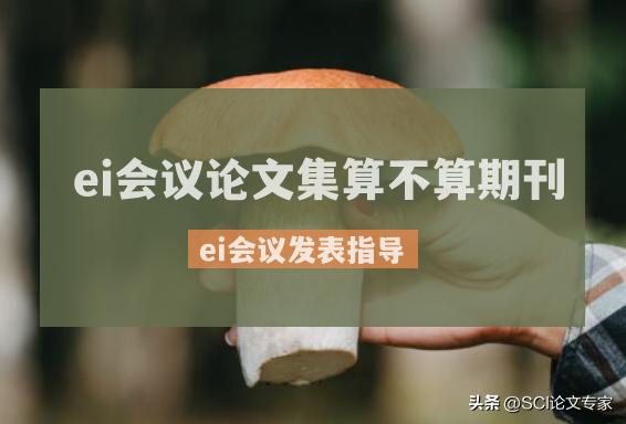 ei有论文集就是见刊了吗,ei会议的论文属于什么论文级别