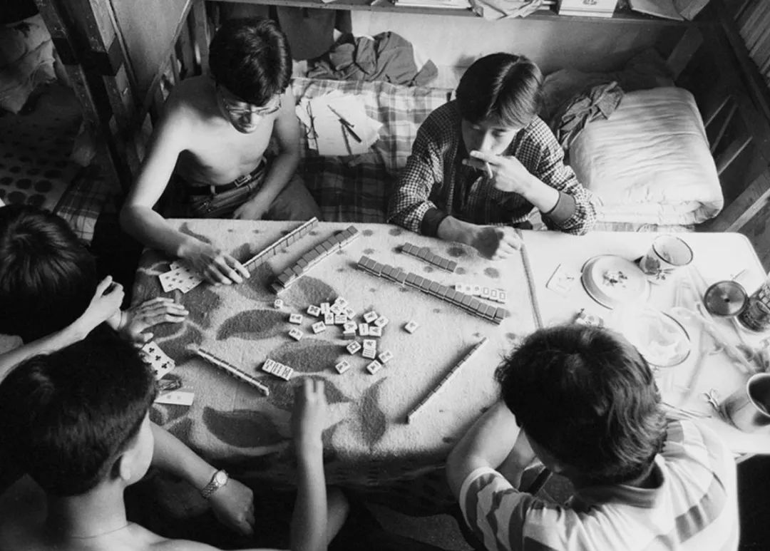 罕见的自然场景,罕见的一幕