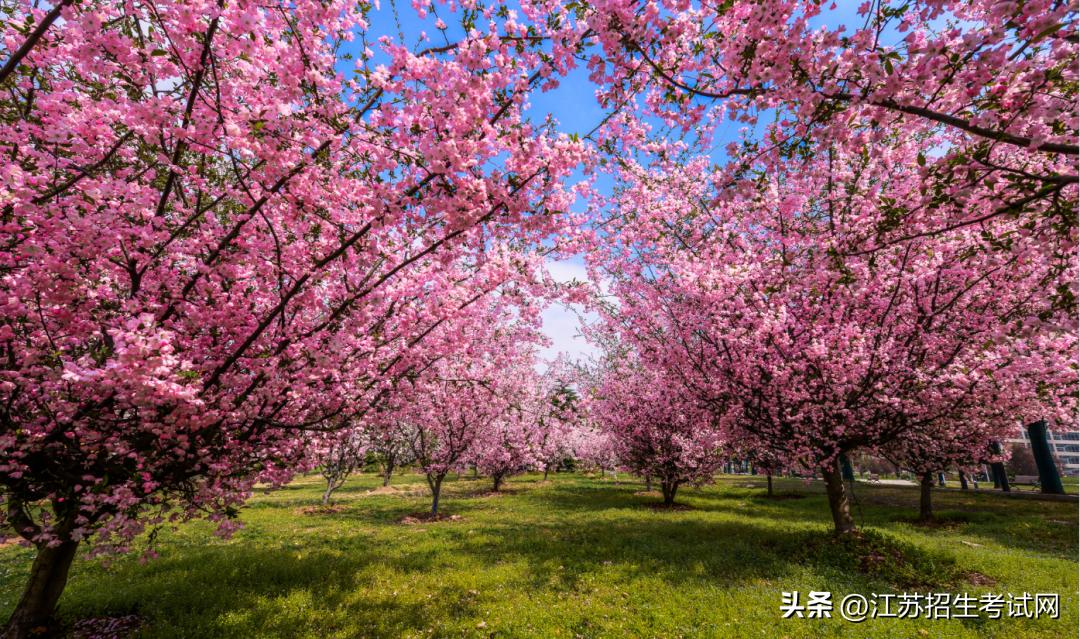 江苏建筑职业技术学院匠心筑梦,江苏建筑职业技术学院45周年