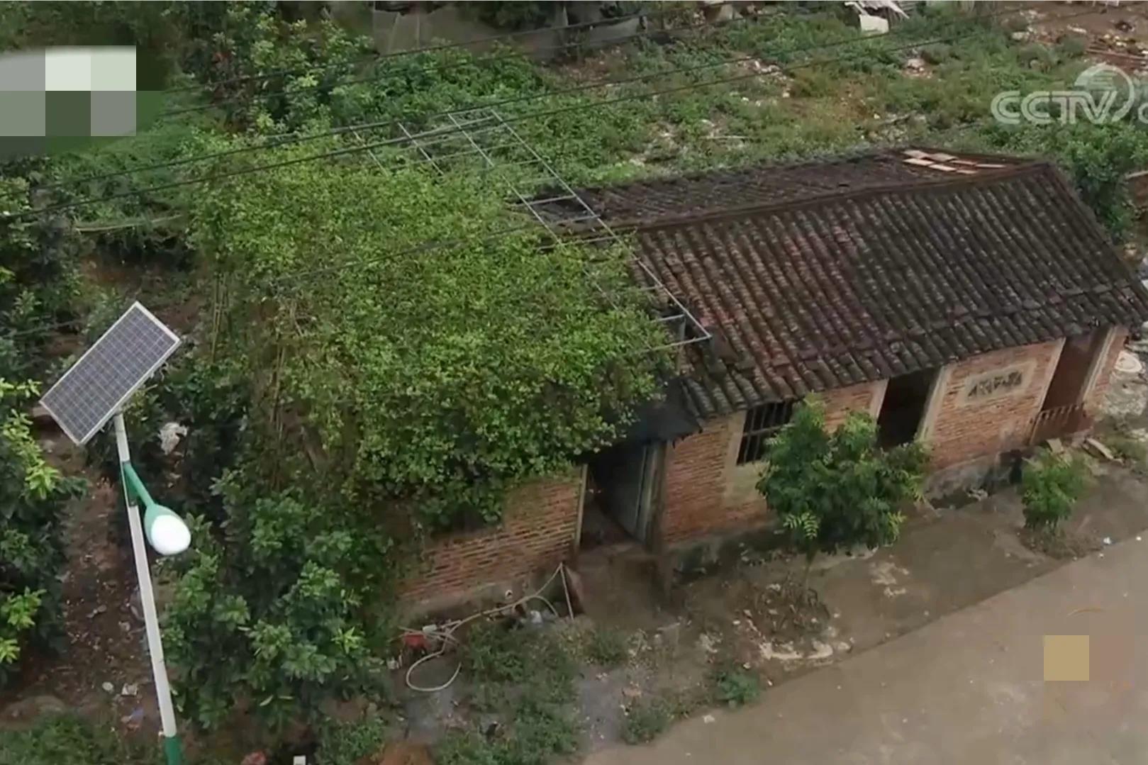 90后小伙承包15亩果园,湖南小伙承包五千亩四年赚上千万