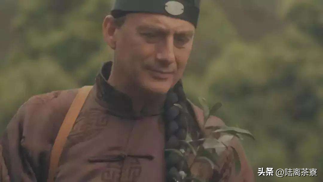 中国茶叶与印度茶,中国和印度茶叶现状分析