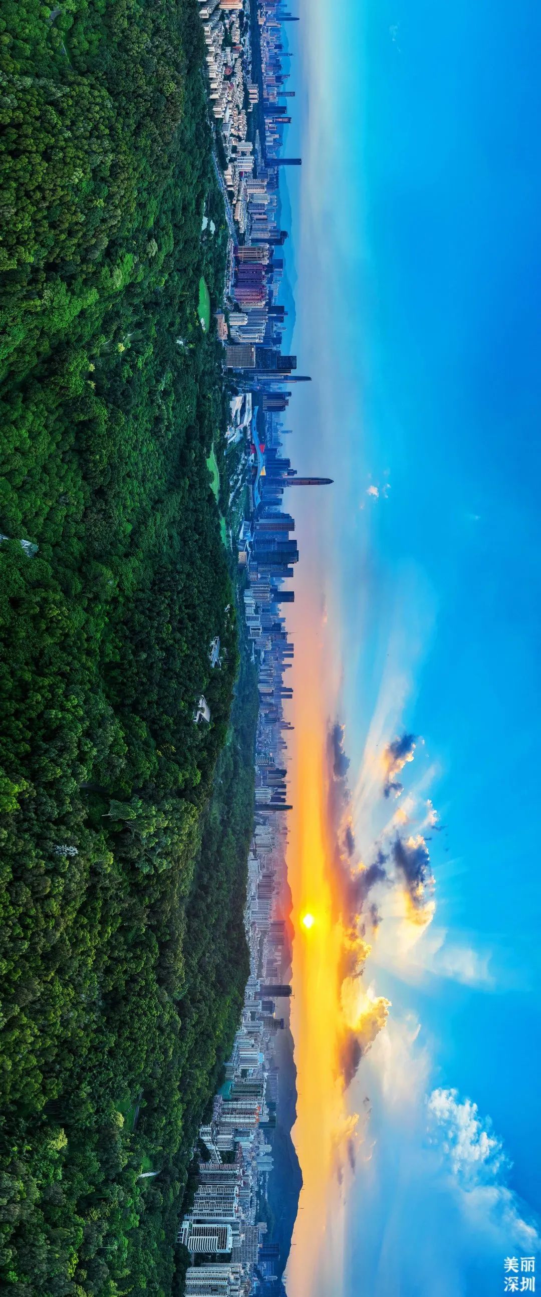 深圳莲花山公园航拍,航拍深圳凤凰山公园