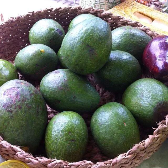 100多种罕见水果欣赏,100种罕见水果名字