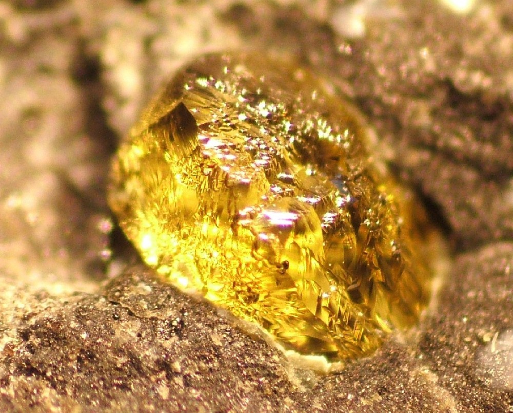 天津男子捡600多块蛟河橄榄石,市民捡到长江奇石卖了二十二万