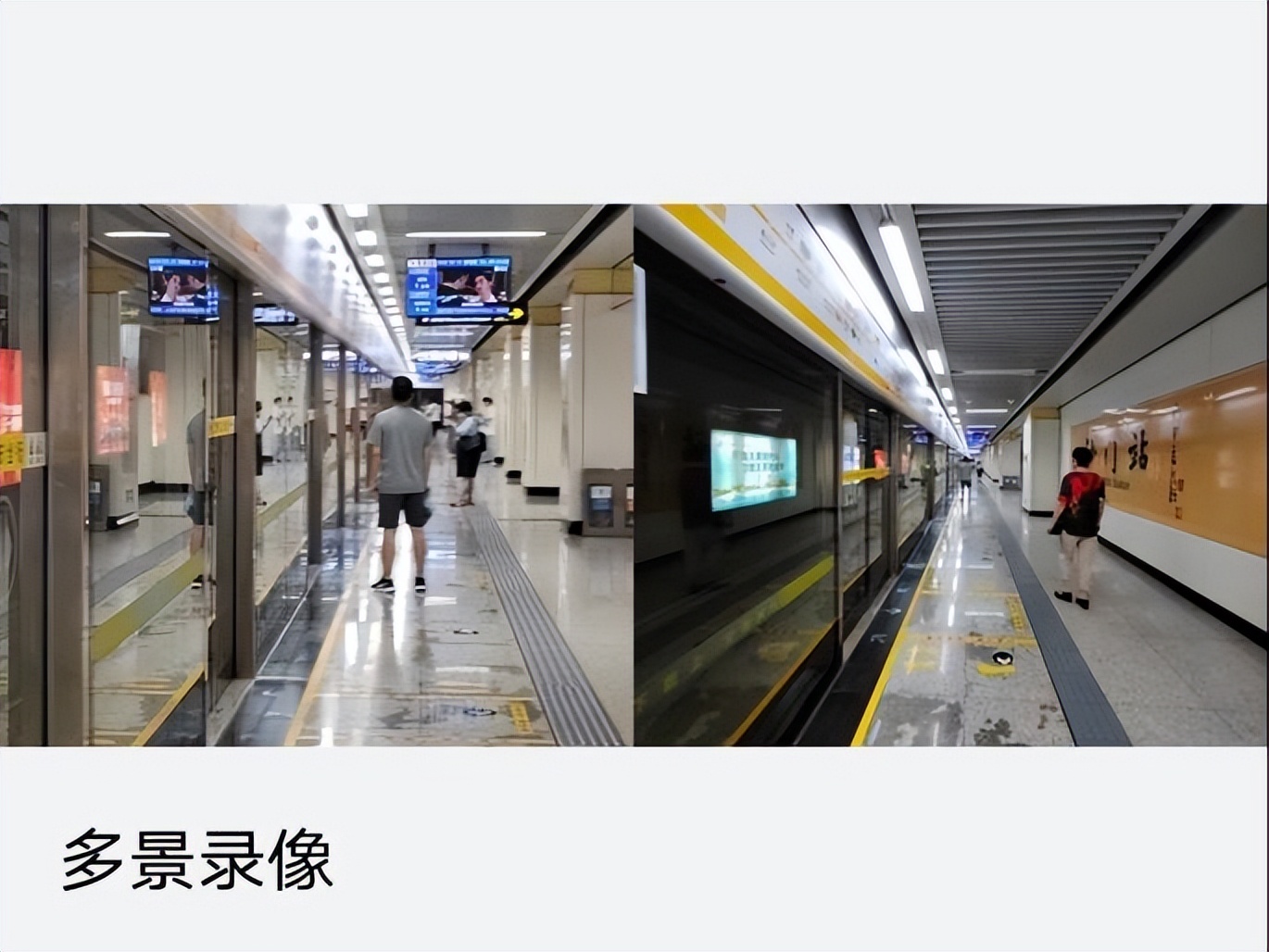 美丽与智慧的化身爱与和平,美丽与智慧的合体