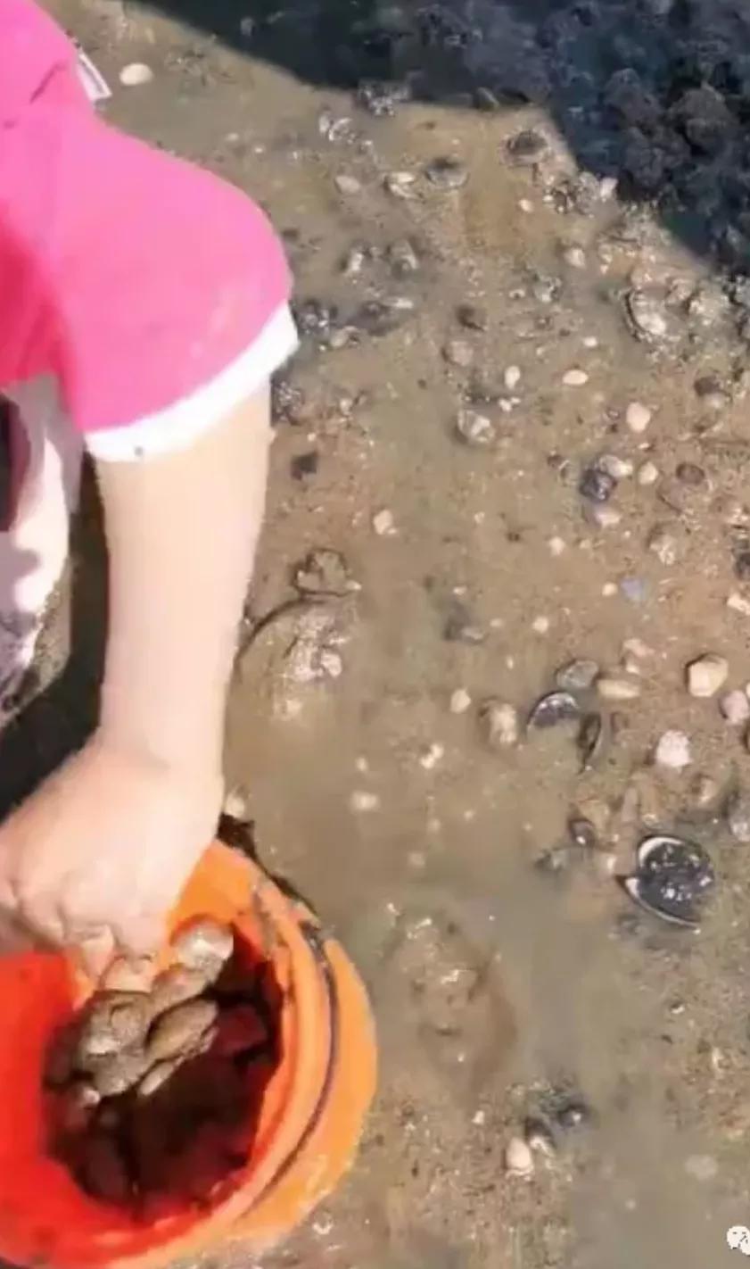 东疆港两日游攻略路线推荐,去东疆港赶海攻略